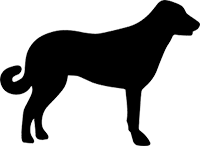 Anatolischer Hirtenhund(2)