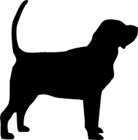Bloodhound(1)
