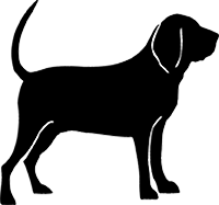 Bloodhound(3)