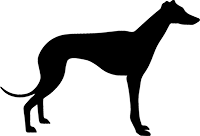 Greyhound(1)