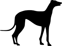 Greyhound(2)
