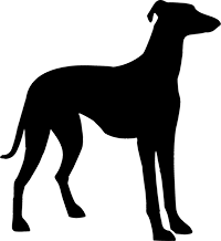 Greyhound(3)