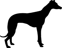 Greyhound(4)