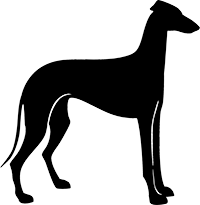 Greyhound(6)