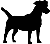 Jack Russell Terrier(2)