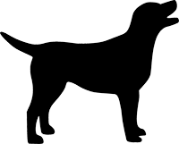 Labrador(1)