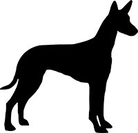 Pharaonenhund(3)