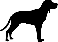 Redbone Coonhound(1)