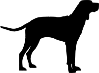 Redbone Coonhound(2)