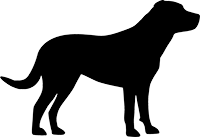 Schweizer Sennenhund(1)