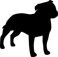Staffordshire Bull Terrier(1)