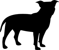 Staffordshire Bull Terrier(2)