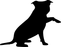 Staffordshire Bull Terrier(3)