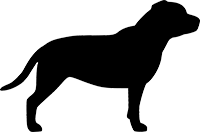 Staffordshire Bull Terrier(5)