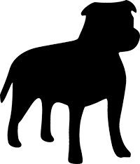 Staffordshire Bull Terrier(6)