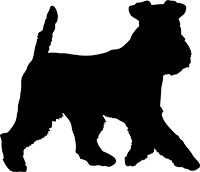 Welsh Terrier(1)