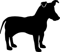 Parson-Russel-Terrier(1)