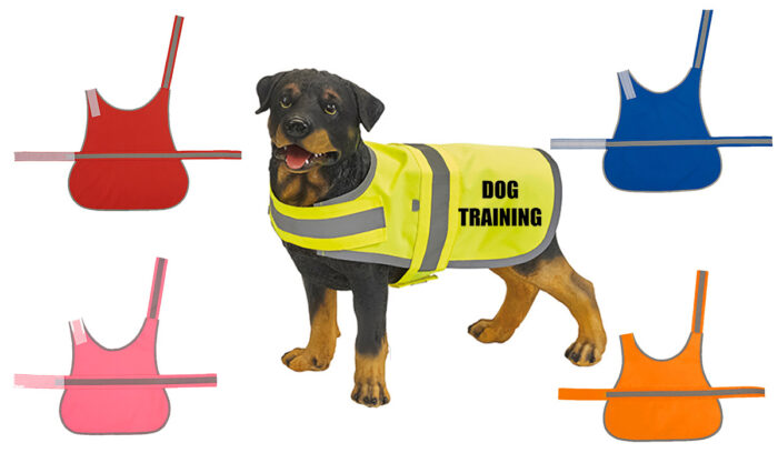 Hundewarnweste – Dog Training