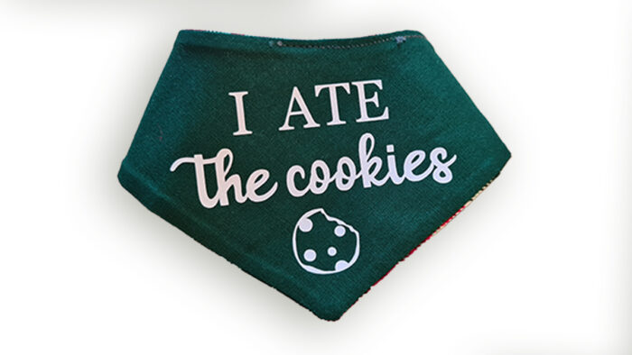 Wende-Bandana – grün – 22-24cm – i ate the cookies